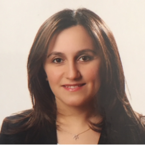 Yasemin Yildiz, Speaker at Chemistry Conferences